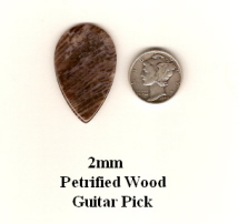 Petrified Wood Teardrop Guitar Picks